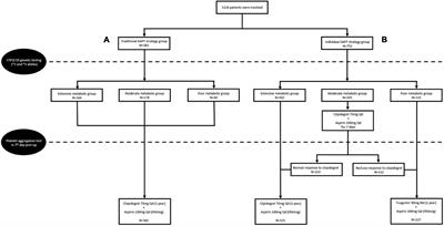 CYP2C19 genotype and platelet aggregation test-guided dual antiplatelet therapy after off-pump coronary artery bypass grafting: A retrospective cohort study